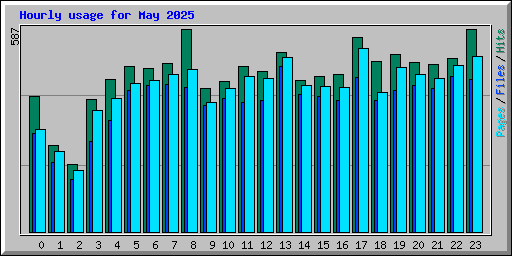 Hourly usage for May 2025