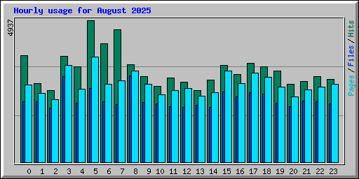 Hourly usage for August 2025